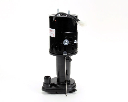 Scotsman Water Pump 12-2586-23, 240V